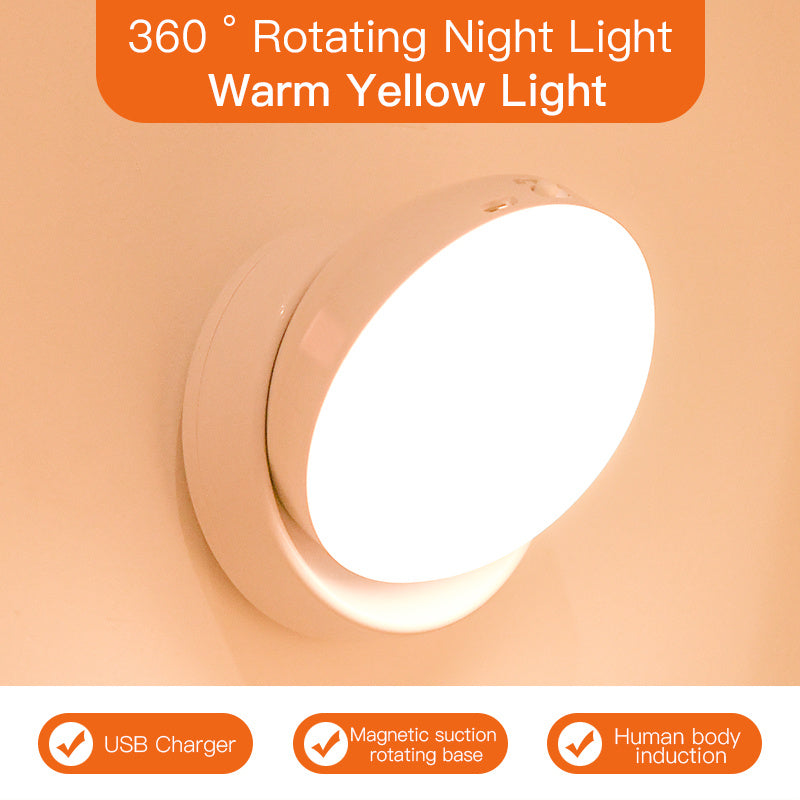 Motion Sensor LED Light