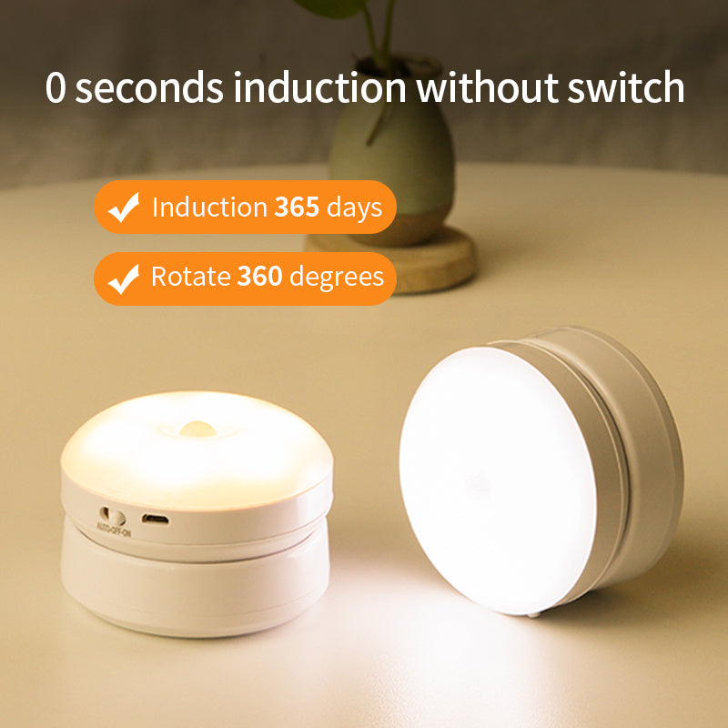 Motion Sensor LED Light