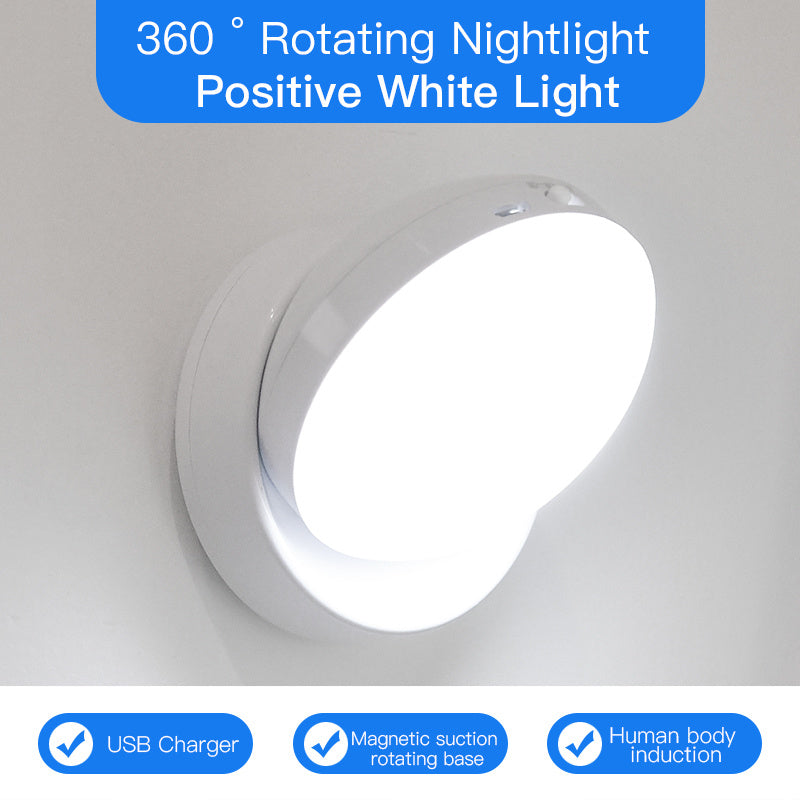 Motion Sensor LED Light